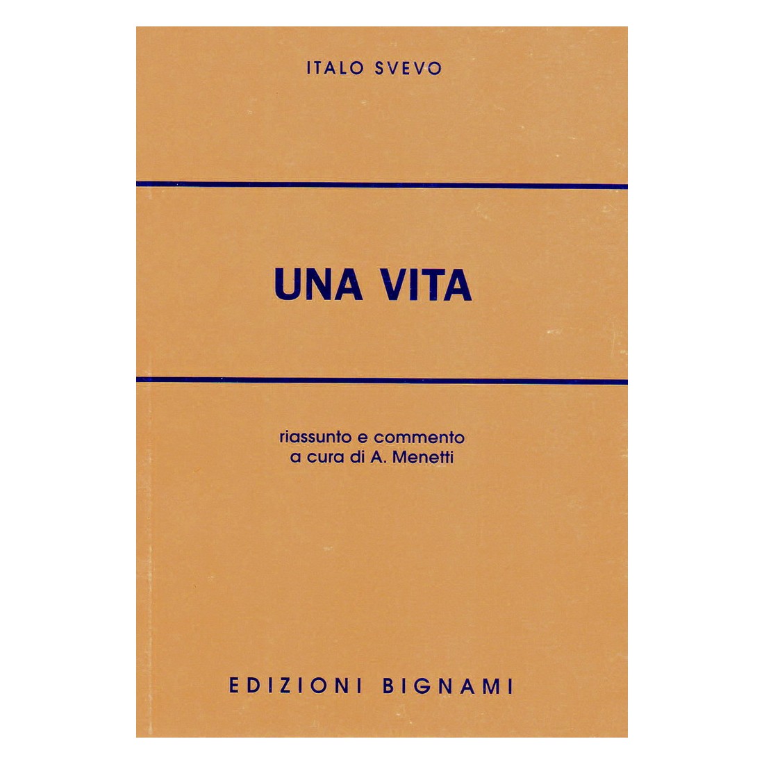 Una vita - Italo Svevo - Riassunto e commento