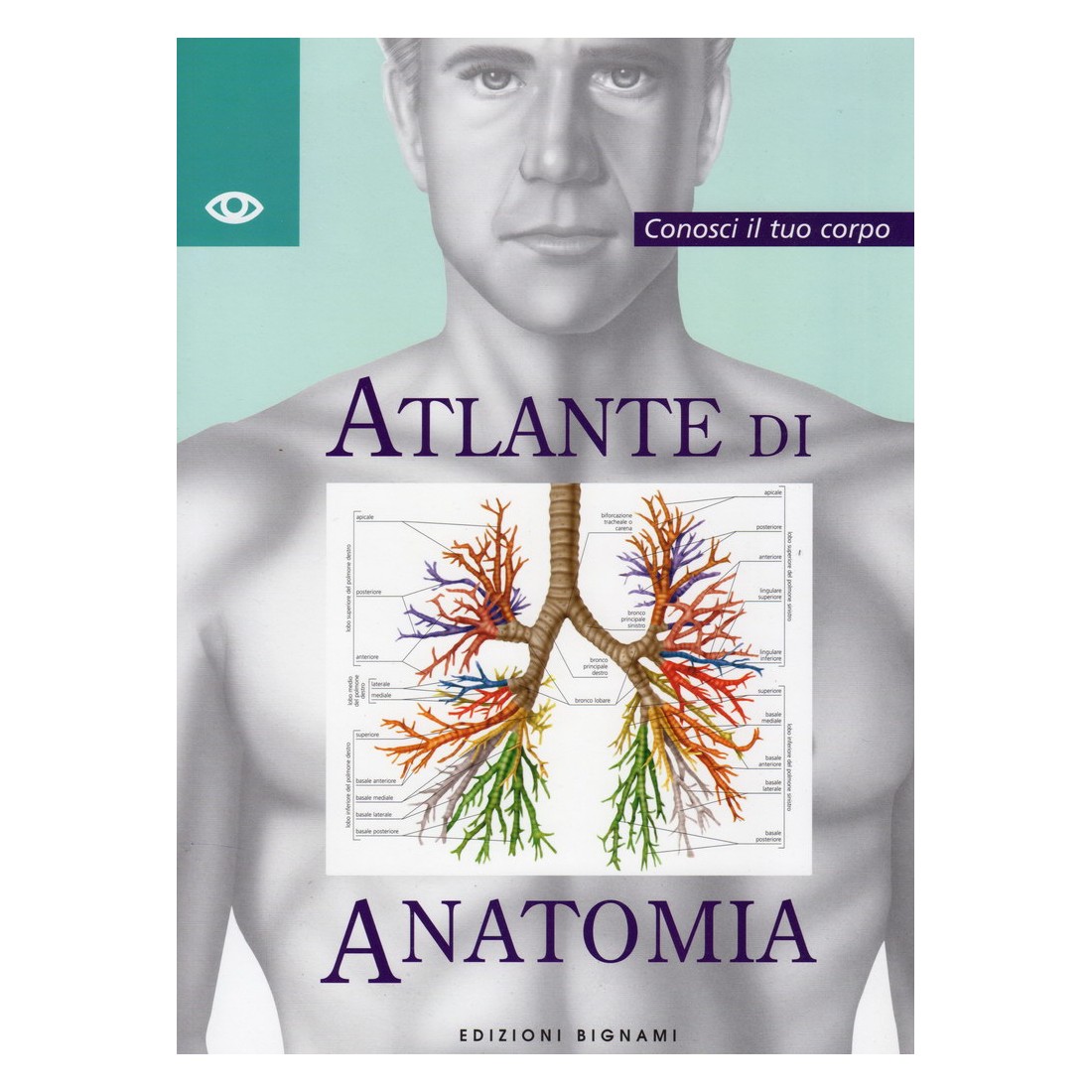Atlante di Anatomia - Conosci il tuo corpo