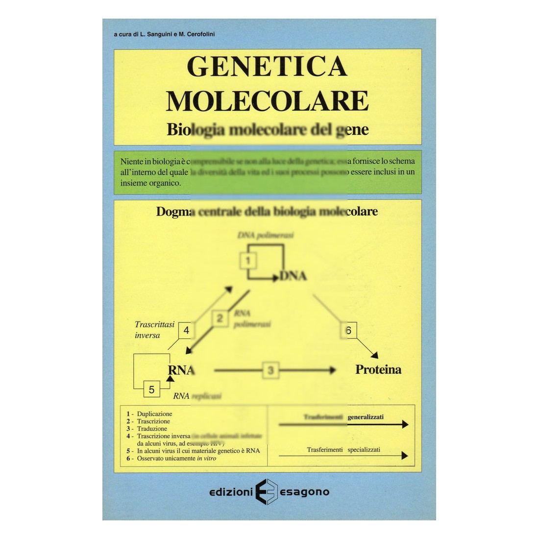 Genetica molecolare - Biologia molecolare del gene - Scheda