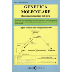 Genetica molecolare - Biologia molecolare del gene - Scheda