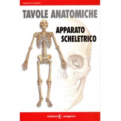 Tavole anatomiche - Apparato scheletrico - Scheda