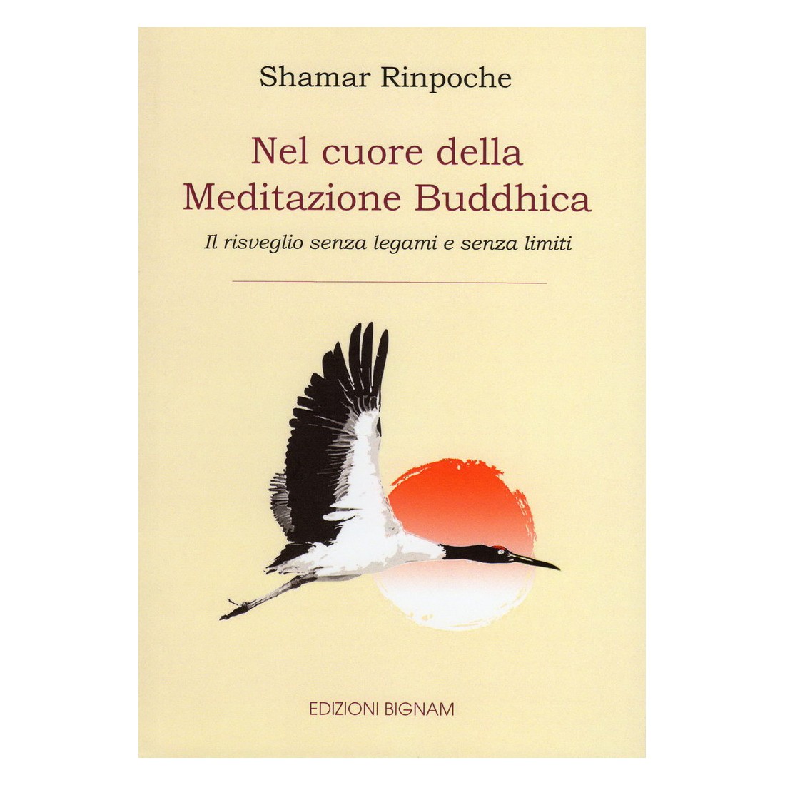 Nel cuore della Meditazione Buddhica - Il risveglio senza legami e senza limiti