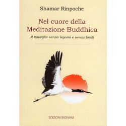 Nel cuore della Meditazione Buddhica - Il risveglio senza legami e senza limiti